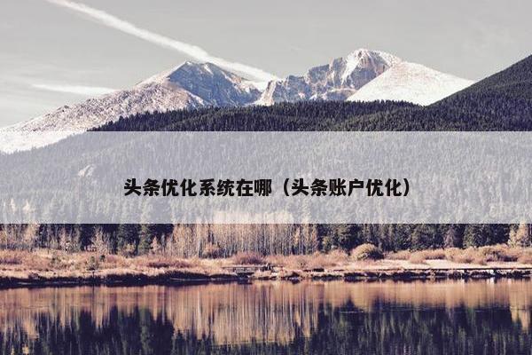 头条优化系统在哪（头条账户优化）