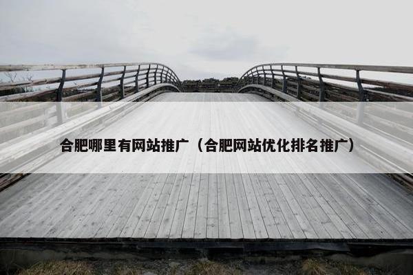 合肥哪里有网站推广（合肥网站优化排名推广）
