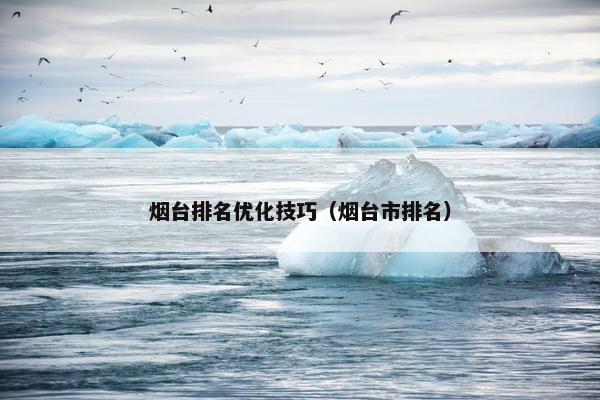 烟台排名优化技巧（烟台市排名）