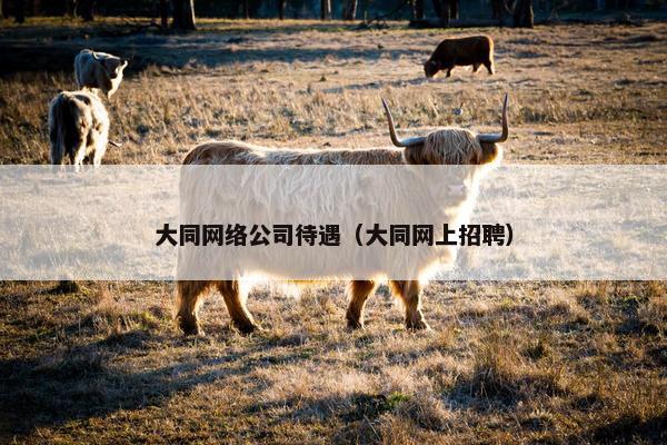 大同网络公司待遇（大同网上招聘）