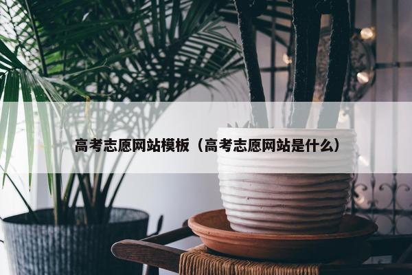 高考志愿网站模板（高考志愿网站是什么）