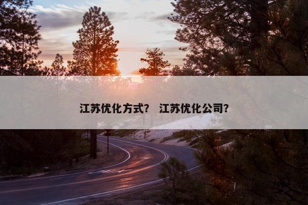 江苏优化方式？ 江苏优化公司？