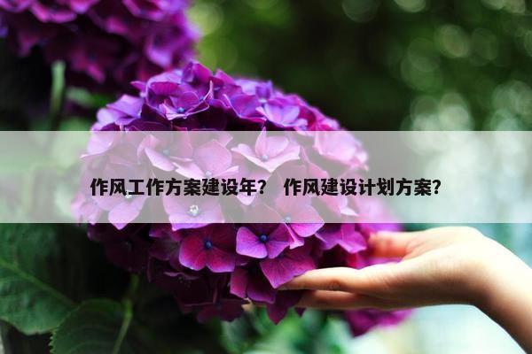 作风工作方案建设年？ 作风建设计划方案？