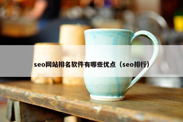 seo网站排名软件有哪些优点（seo排行）