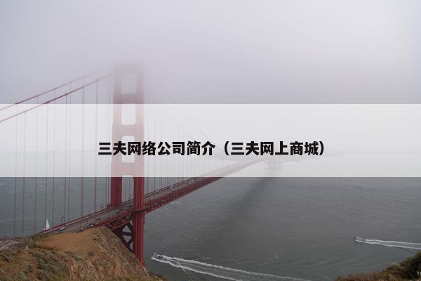三夫网络公司简介（三夫网上商城）