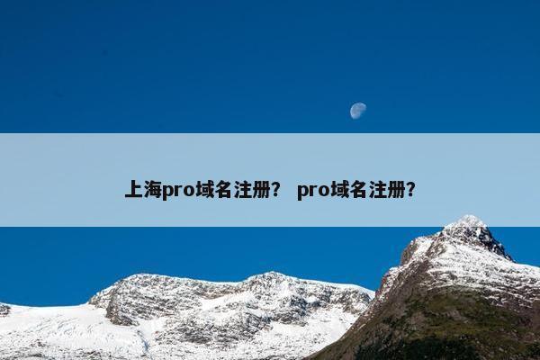 上海pro域名注册？ pro域名注册？