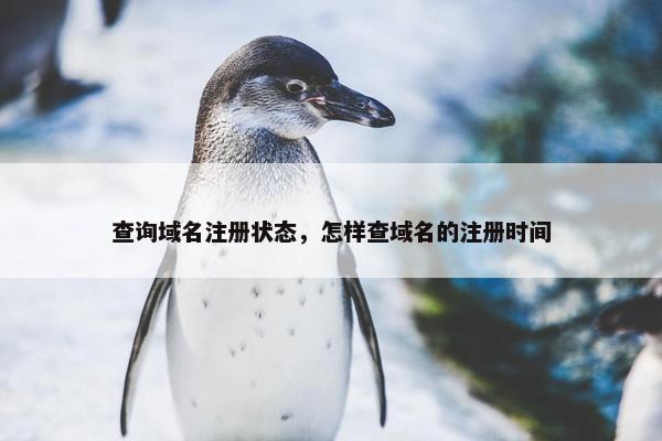 查询域名注册状态，怎样查域名的注册时间