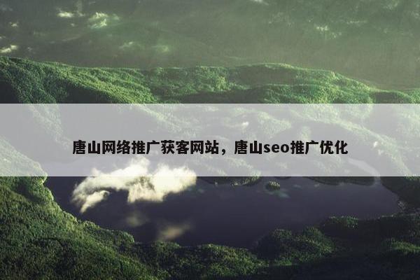唐山网络推广获客网站，唐山seo推广优化