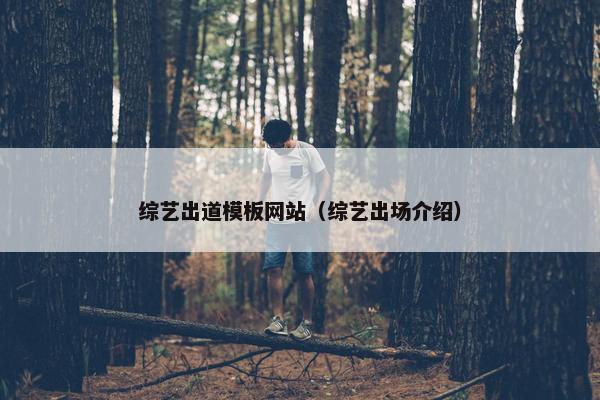 综艺出道模板网站（综艺出场介绍）