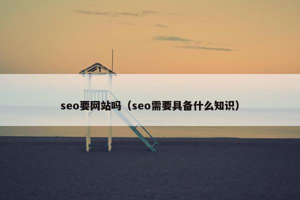 seo要网站吗（seo需要具备什么知识）