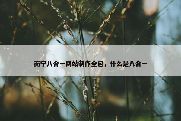 南宁八合一网站制作全包，什么是八合一