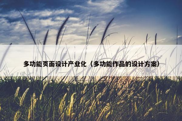 多功能页面设计产业化（多功能作品的设计方案）