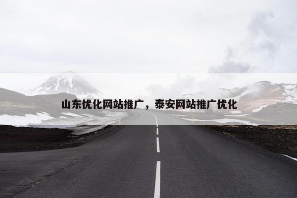 山东优化网站推广，泰安网站推广优化