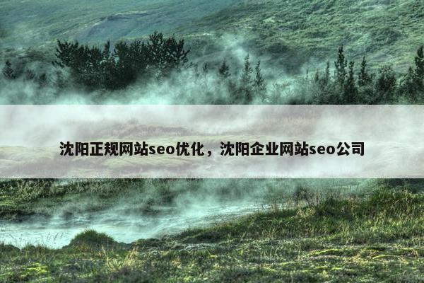 沈阳正规网站seo优化，沈阳企业网站seo公司