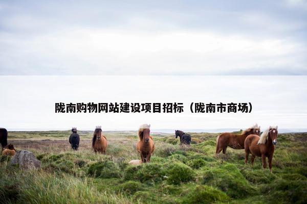 陇南购物网站建设项目招标（陇南市商场）