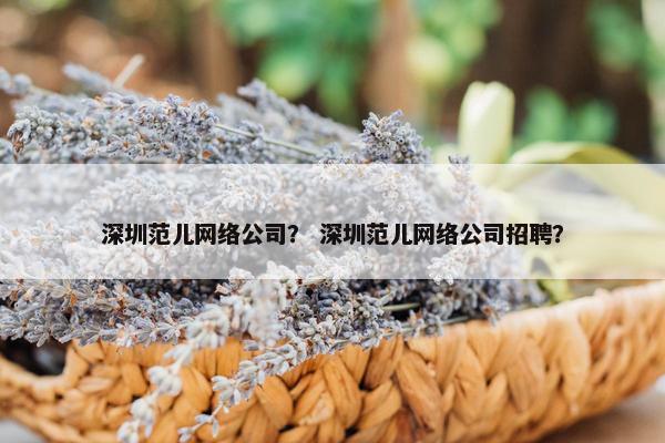深圳范儿网络公司？ 深圳范儿网络公司招聘？