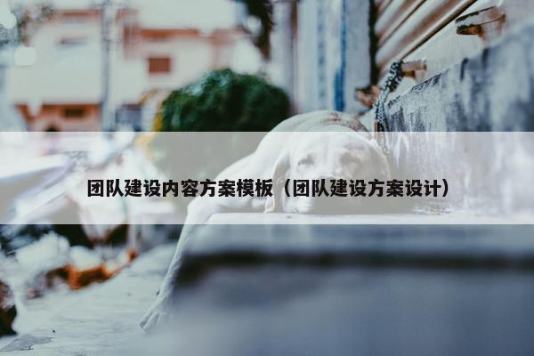 团队建设内容方案模板（团队建设方案设计）
