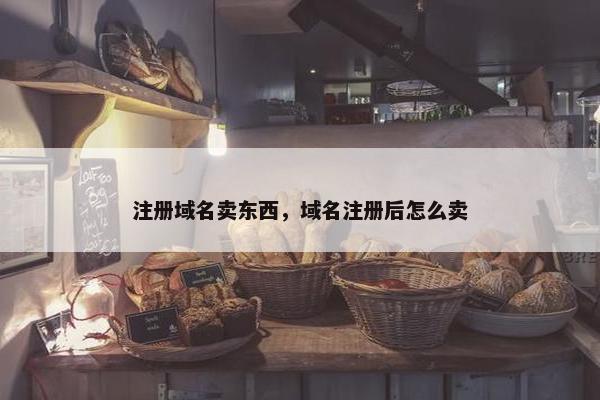 注册域名卖东西，域名注册后怎么卖