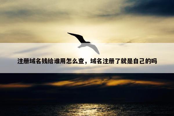 注册域名钱给谁用怎么查，域名注册了就是自己的吗