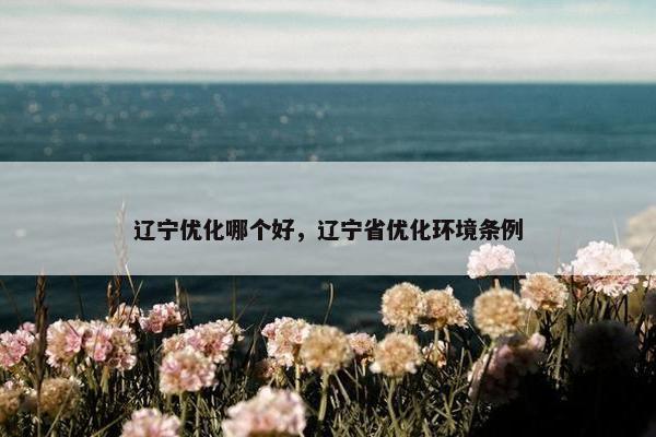 辽宁优化哪个好，辽宁省优化环境条例