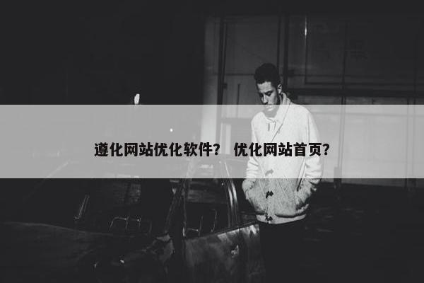 遵化网站优化软件？ 优化网站首页？