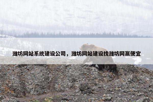 潍坊网站系统建设公司，潍坊网站建设找潍坊网赢便宜