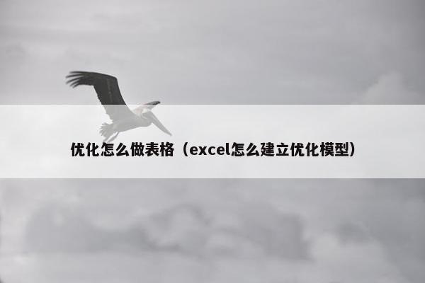 优化怎么做表格（excel怎么建立优化模型）