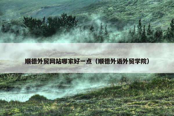 顺德外贸网站哪家好一点（顺德外语外贸学院）