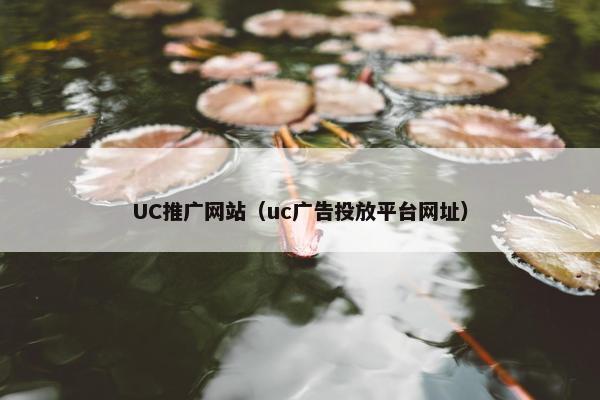 UC推广网站（uc广告投放平台网址）