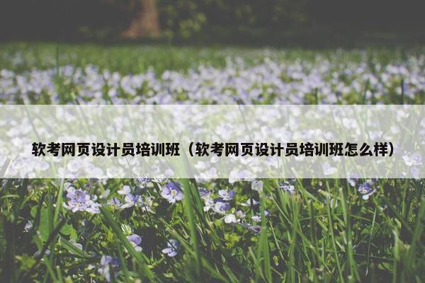 软考网页设计员培训班（软考网页设计员培训班怎么样）