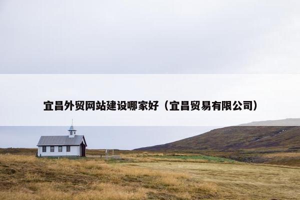 宜昌外贸网站建设哪家好（宜昌贸易有限公司）