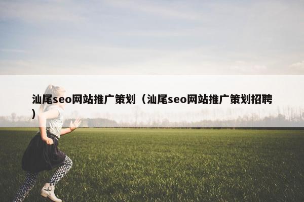 汕尾seo网站推广策划（汕尾seo网站推广策划招聘）