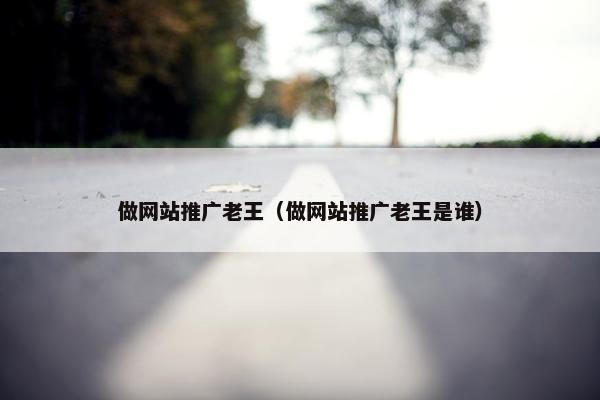 做网站推广老王（做网站推广老王是谁）
