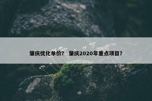 肇庆优化单价？ 肇庆2020年重点项目？