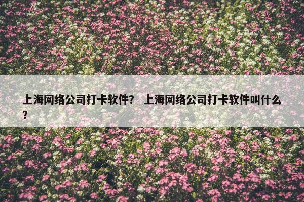 上海网络公司打卡软件？ 上海网络公司打卡软件叫什么？