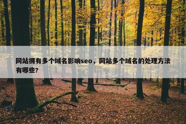 网站拥有多个域名影响seo，网站多个域名的处理方法有哪些?