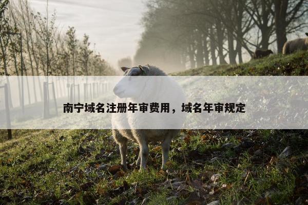 南宁域名注册年审费用，域名年审规定