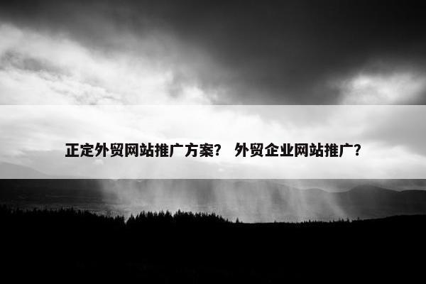 正定外贸网站推广方案？ 外贸企业网站推广？