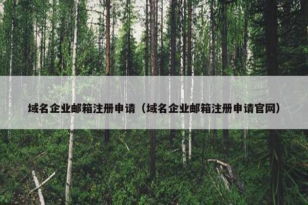 域名企业邮箱注册申请（域名企业邮箱注册申请官网）