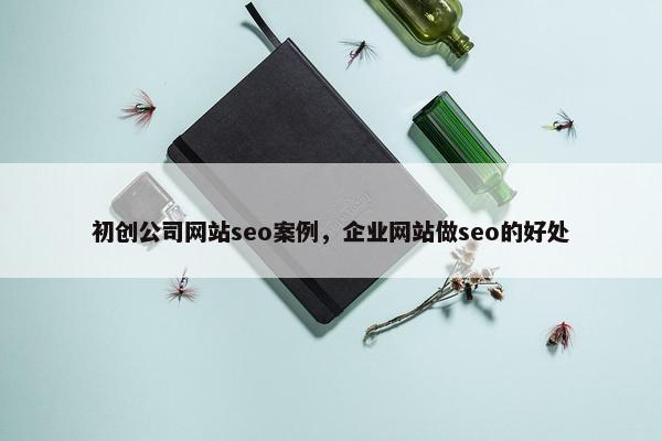 初创公司网站seo案例，企业网站做seo的好处