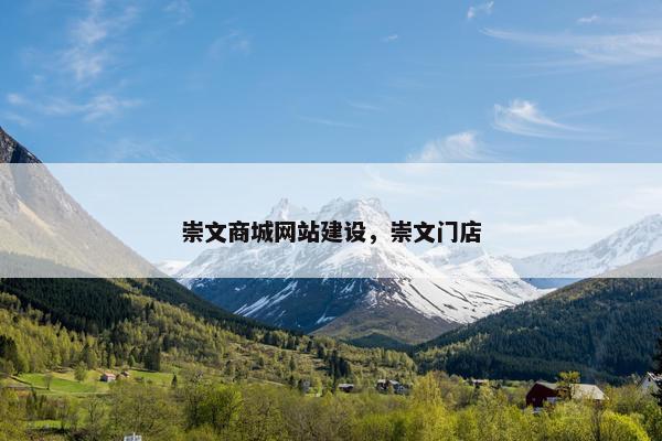 崇文商城网站建设，崇文门店