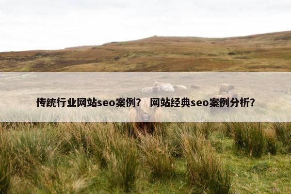 传统行业网站seo案例？ 网站经典seo案例分析？