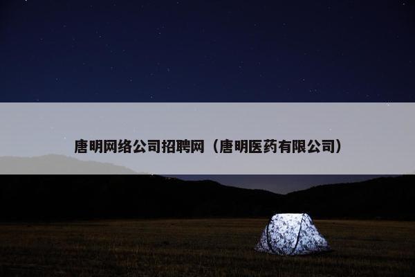 唐明网络公司招聘网（唐明医药有限公司）