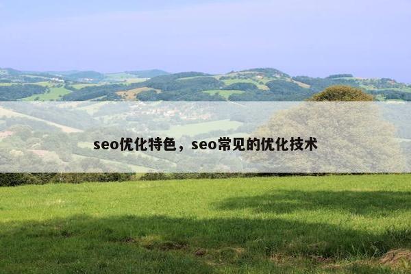 seo优化特色，seo常见的优化技术