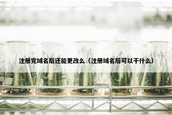 注册完域名后还能更改么（注册域名后可以干什么）