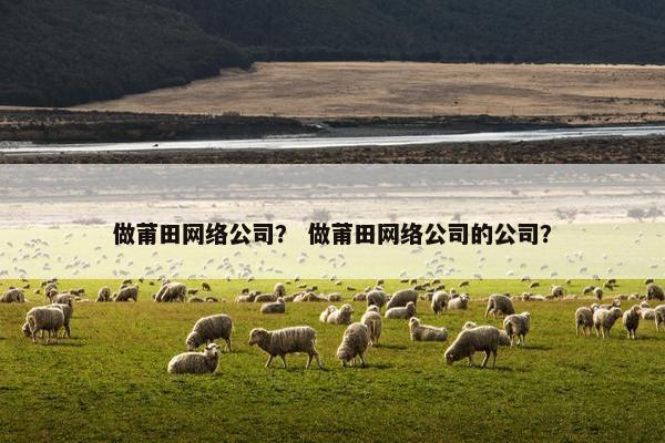 做莆田网络公司？ 做莆田网络公司的公司？