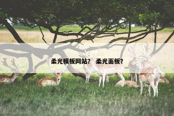 柔光模板网站？ 柔光面板？