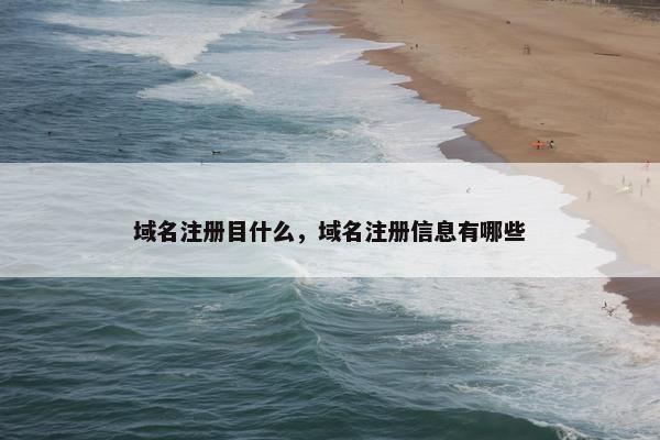 域名注册目什么，域名注册信息有哪些