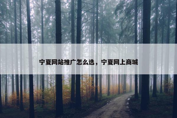 宁夏网站推广怎么选，宁夏网上商城