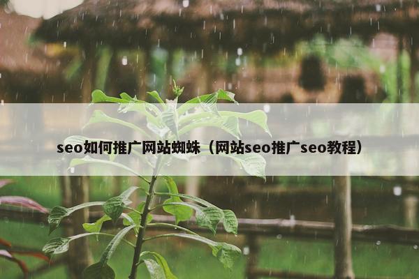 seo如何推广网站蜘蛛（网站seo推广seo教程）